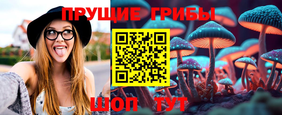 где продают наркотики  Псилоцибиновые грибы Psilocybe  Вход с VPN  Сертолово 